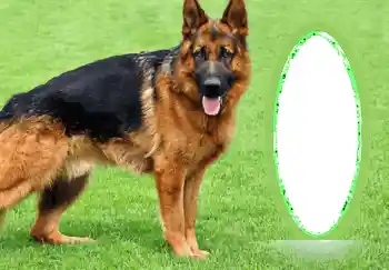 Photo effect from category Different № 68745 Photo effect from category Different № 68745