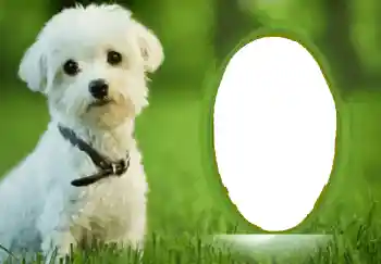 Photo effect from category Different № 68748 Photo effect from category Different № 68748