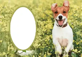 Photo effect from category Different № 68750 Photo effect from category Different № 68750