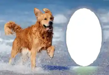 Photo effect from category Different № 68751 Photo effect from category Different № 68751