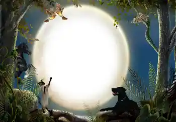 Photo effect from category Different № 7470 Photo effect from category Different № 7470