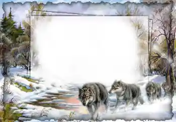 Photo effect from category Different № 7512