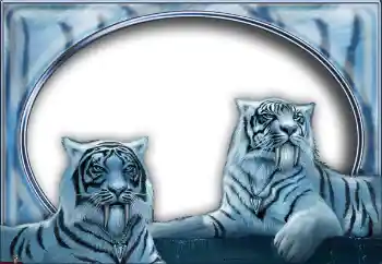 Photo effect from category Different № 7517 Photo effect from category Different № 7517