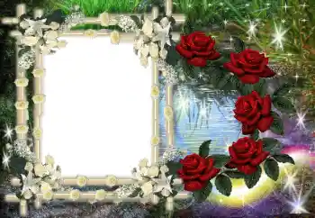 Photo effect from category Different № 80386