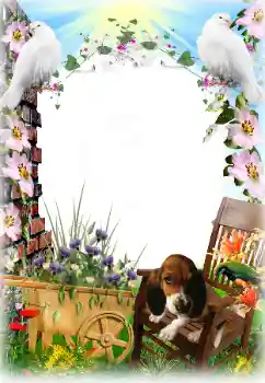 Photo effect from category Different № 81633