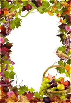 Photo effect from category Different № 81650