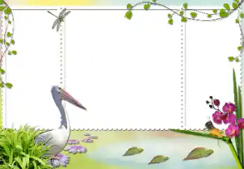 Photo effect from category Different № 84103