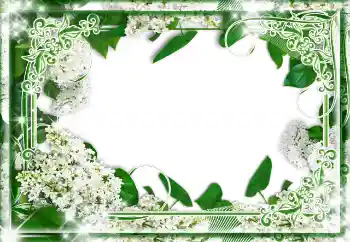 Photo effect from category Different № 85233