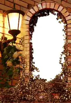 Photo effect from category Different № 8595 Photo effect from category Different № 8595