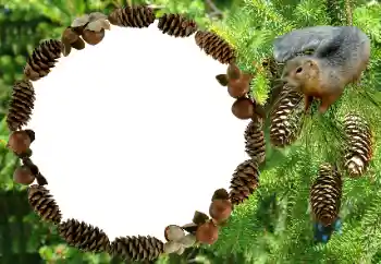 Photo effect from category Different № 8682 Photo effect from category Different № 8682