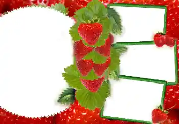 Photo effect from category Different № 8738 Photo effect from category Different № 8738