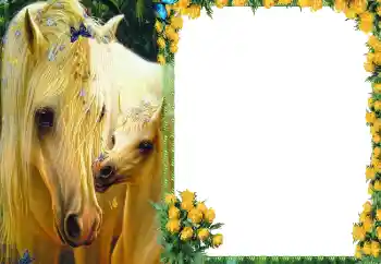 Photo effect from category Different № 87686