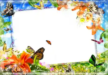 Photo effect from category Different № 89452