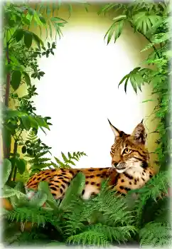 Photo effect from category Different № 94618 Photo effect from category Different № 94618