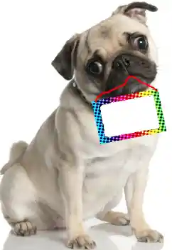 Photo effect from category Different № 99781 Photo effect from category Different № 99781