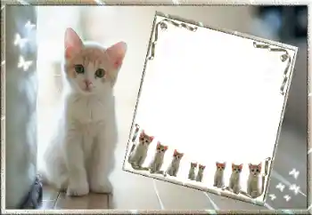 Photo effect from category Different № 99811 Photo effect from category Different № 99811