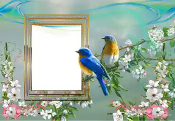 Photo effect from category Different № 99895 Photo effect from category Different № 99895