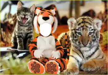 Photo effect from category For children № 118830 Photo effect from category For children № 118830