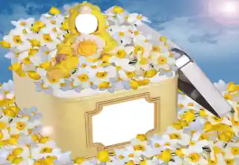 Photo effect from category For children № 33984 Photo effect from category For children № 33984