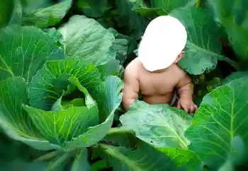 Photo effect from category For children № 90533 Photo effect from category For children № 90533