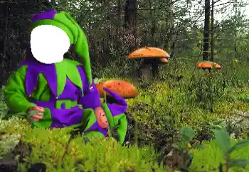 Photo effect from category For children № 90549 Photo effect from category For children № 90549