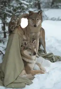 Photo effect from category For women № 129849 Photo effect from category For women № 129849