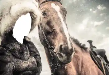 Photo effect from category For women № 38493 Photo effect from category For women № 38493