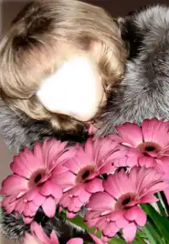 Photo effect from category For women № 38949 Photo effect from category For women № 38949