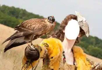 Photo effect from category For women № 61598 Photo effect from category For women № 61598