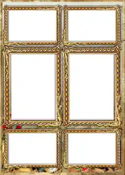 Photo effect from category Album number 1 № 842