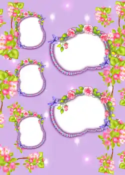 Photo effect from category Album number 3 № 858