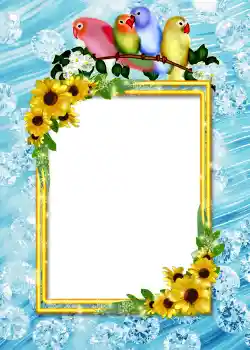 Photo effect from category Album number 4 № 860 Photo effect from category Album number 4 № 860