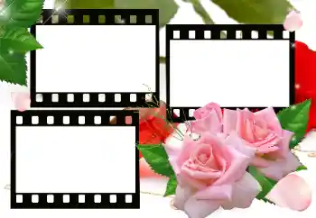 Photo effect from category Frames for Lovers № 115800 Photo effect from category Frames for Lovers № 115800