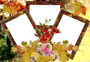 Photo effect from category Frames for Lovers № 124326