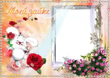 Photo effect from category Frames for Lovers № 1262. An inscription on the frame: Моей Зайке.