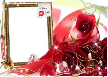 Photo effect from category Frames for Lovers № 1282. An inscription on the frame: I love you! Photo effect from category Frames for Lovers № 1282. An inscription on the frame: I love you!