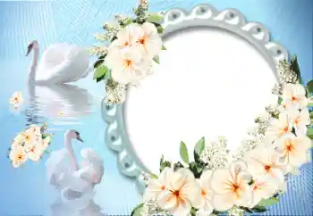 Photo effect from category Frames for Lovers № 12891 Photo effect from category Frames for Lovers № 12891