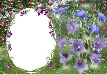 Photo effect from category Frames for Lovers № 131799 Photo effect from category Frames for Lovers № 131799