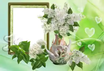 Photo effect from category Frames for Lovers № 153257 Photo effect from category Frames for Lovers № 153257