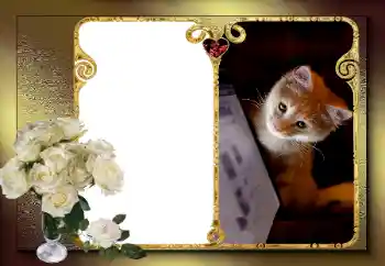 Photo effect from category Frames for Lovers № 163583 Photo effect from category Frames for Lovers № 163583