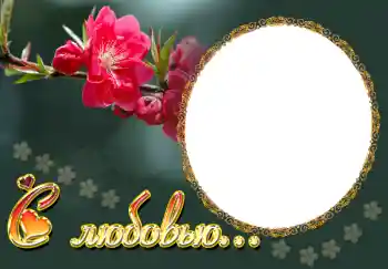 Photo effect from category Frames for Lovers № 1753. An inscription on the frame: С любовью...