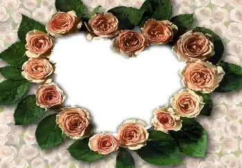 Photo effect from category Frames for Lovers № 1788