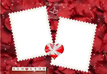 Photo effect from category Frames for Lovers № 2224. An inscription on the frame: I love you!