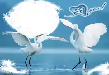 Photo effect from category Frames for Lovers № 60198. An inscription on the frame: I love you! Photo effect from category Frames for Lovers № 60198. An inscription on the frame: I love you!