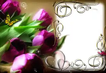 Photo effect from category Frames for Lovers № 78969