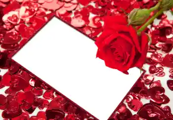 Photo effect from category Frames for Lovers № 96066