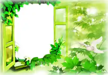 Photo effect from category Frames for Lovers № 96085