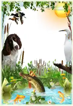 Photo effect from category Men's photo frames № 124265 Photo effect from category Men's photo frames № 124265