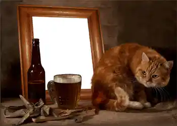 Photo effect from category Men's photo frames № 897