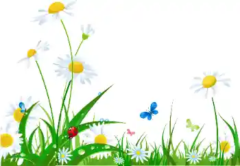 An inscription on the frame: Happy Women's Day